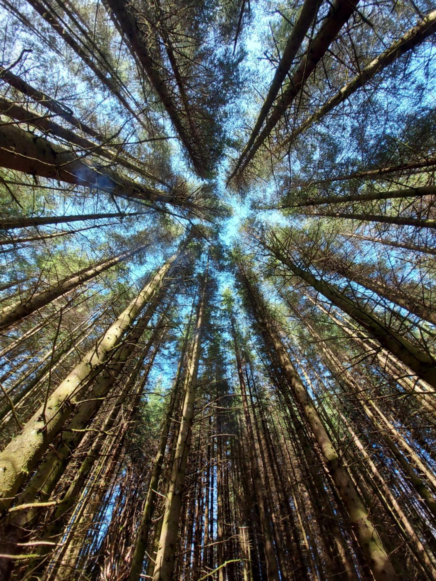 Seren Garden Pod Fort William Dış mekan fotoğraf